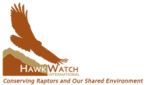 HawkWatch International (HWI)
